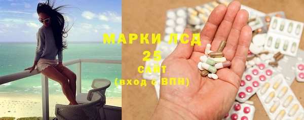 ГАЛЛЮЦИНОГЕННЫЕ ГРИБЫ Богданович