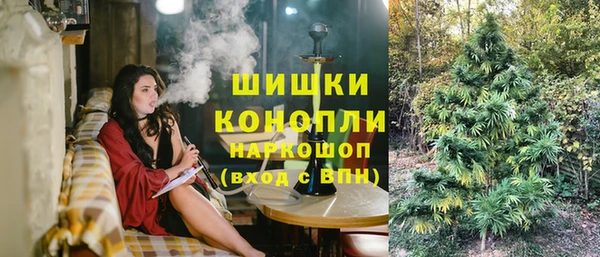 ГАЛЛЮЦИНОГЕННЫЕ ГРИБЫ Богданович
